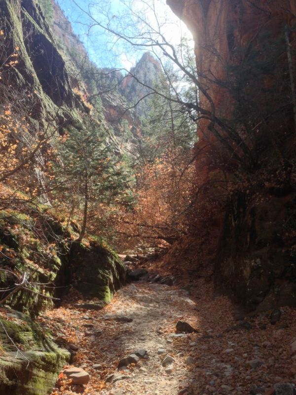 Zion National Park Hidden Canyon hike: inside the canyon