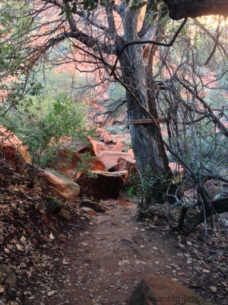 Sedona Fay Canyon trail