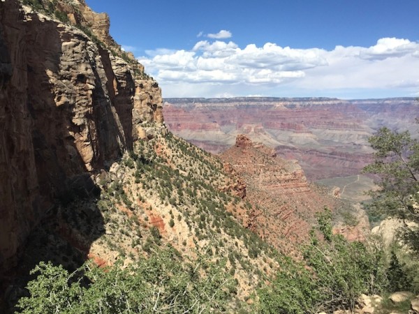 Grand Canyon from Bright Angel Trail