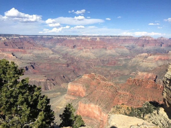 Grand Canyon vista