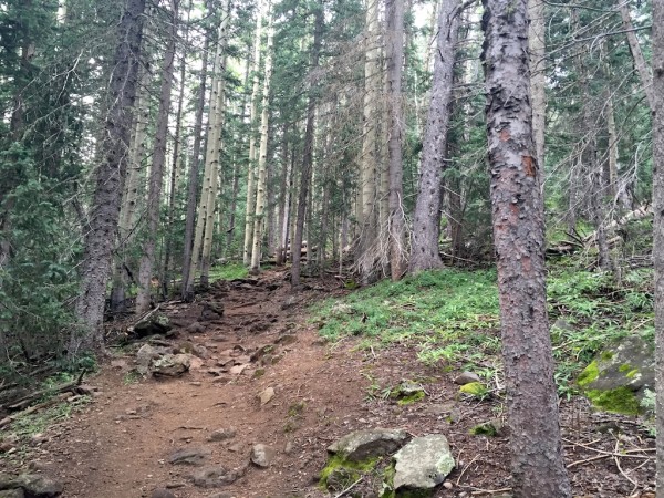 Humphreys trail hike Flagstaff 2