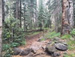 Into The Clouds: Hike To Humphreys Peak Summit - Agent Athletica