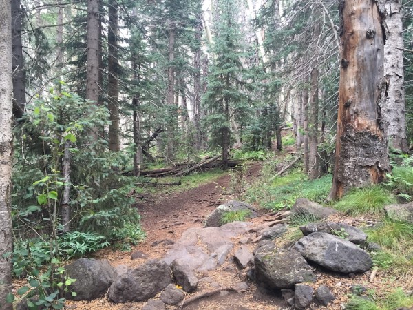 Humphreys trail hike Flagstaff 3