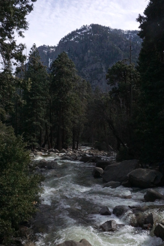 Creek along Lower Yosemite Falls Trail