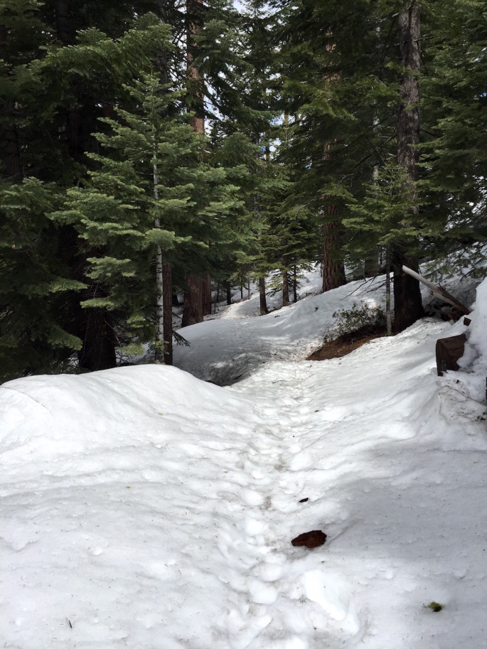 Trail to Yosemite Point in winter