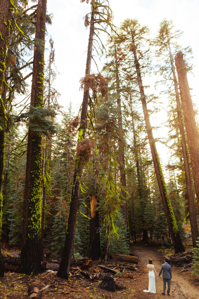 Yosemite elopement in the woods | Carl Zoch Photography