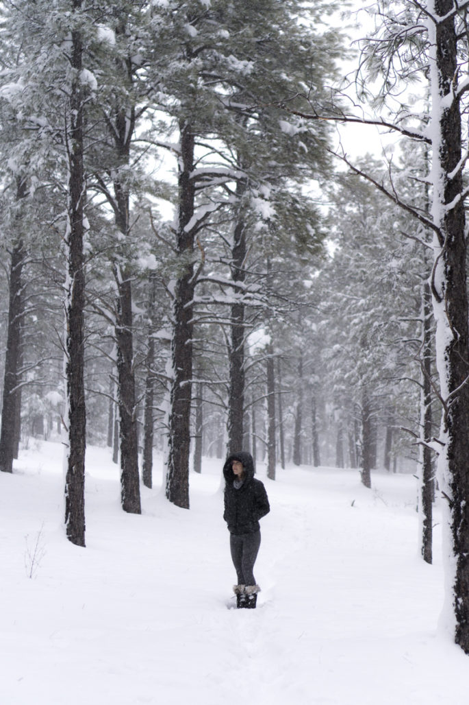 White Out: Snow Day Outfit - Agent Athletica