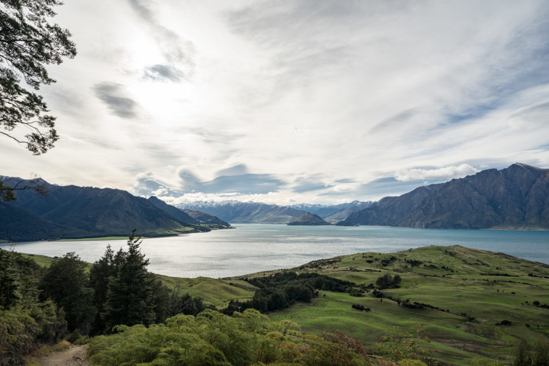 Stunning New Zealand Day Hikes: Isthmus Peak near Wanaka - Agent Athletica