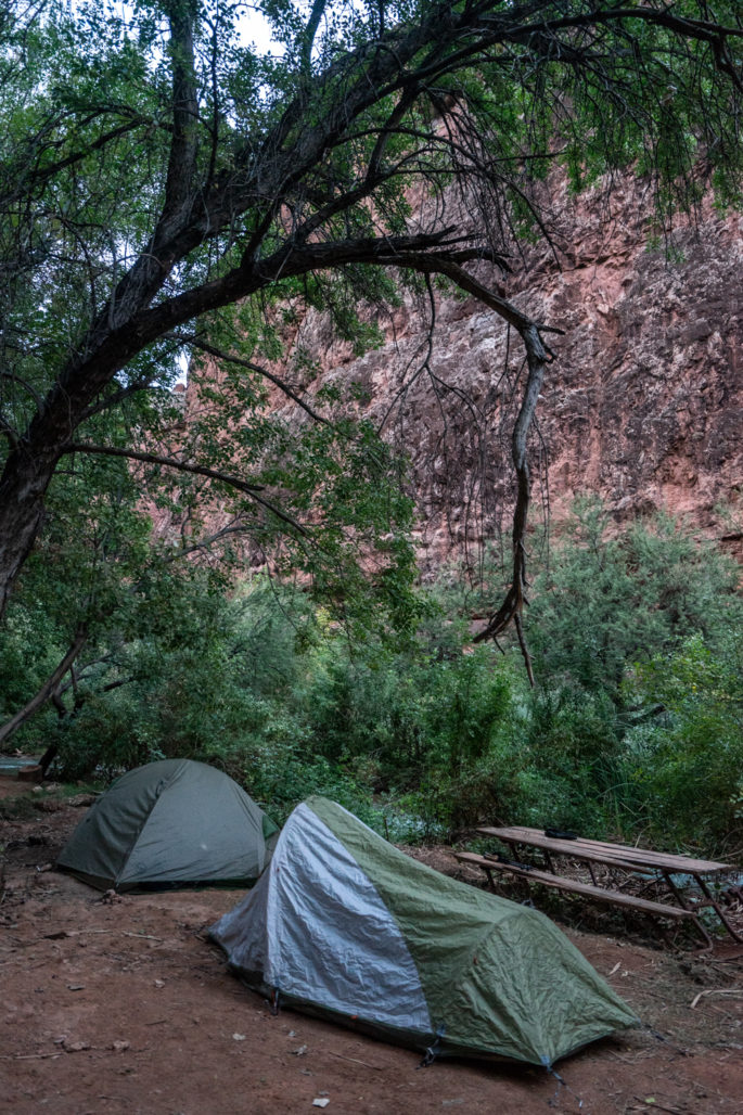 Campsites at Havasupai Campground