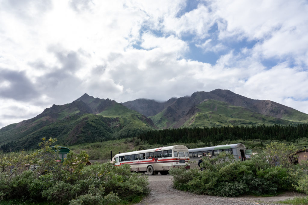 Denali Park Road bus tour