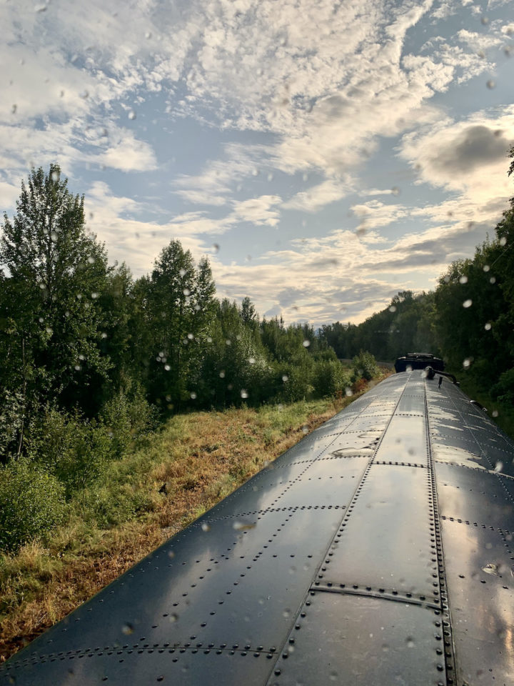 Denali Star Train Gold Service from Anchorage