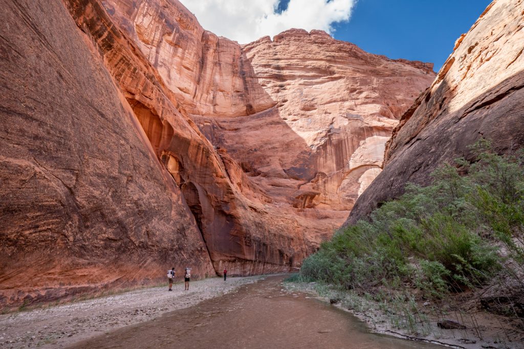 Paria Canyon during low water