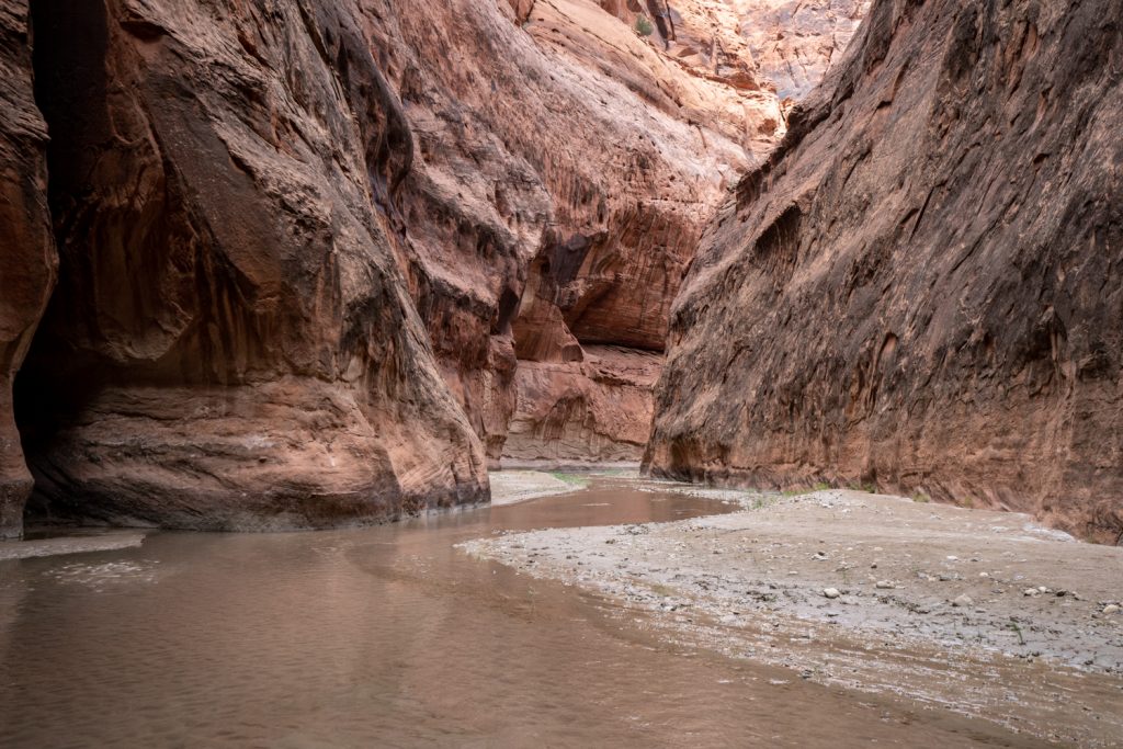 Backpacking Paria Canyon in low water