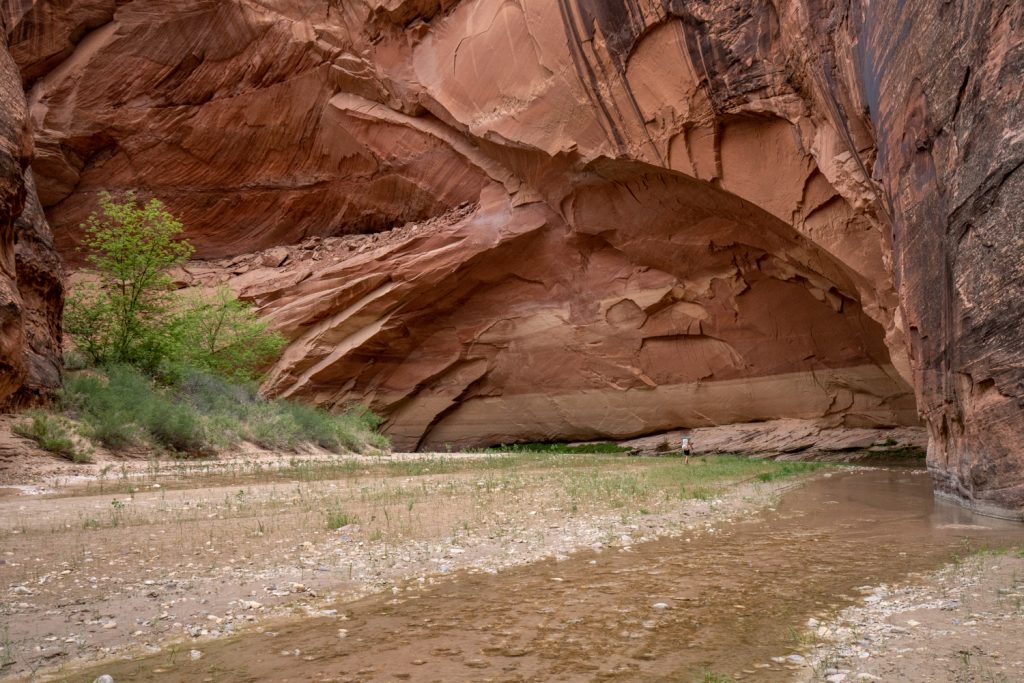 Four-Day Backpacking through Paria Canyon