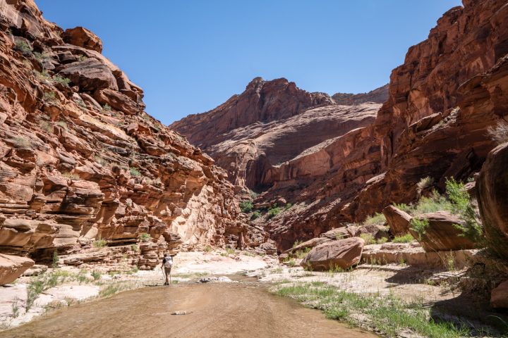 Backpacking Paria Canyon in Spring