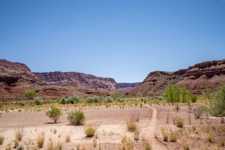 Backpacking Paria Canyon to Lees Ferry